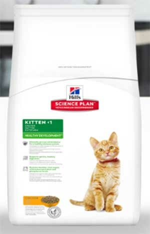 hills-dlya-kotyat Хиллс для котят