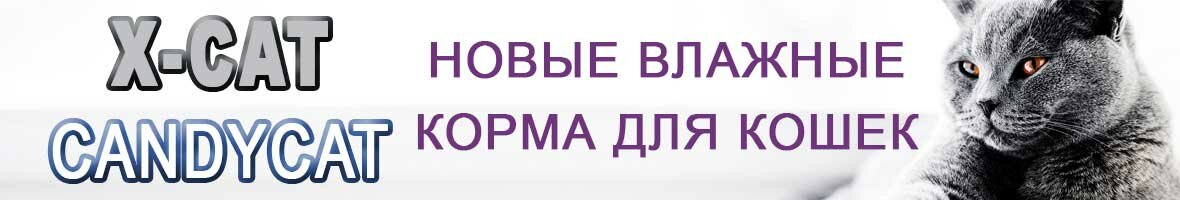 Новые корма для кошек X-CAT и CANDYCAT Новые корма для кошек