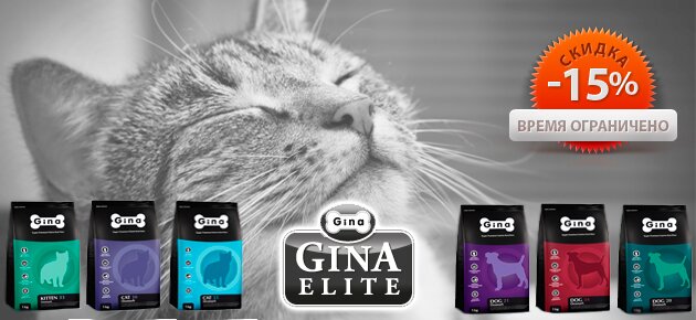 Акция на Джину