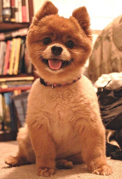 prostaya-strizhka Простая стрижка