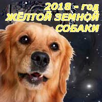 Год 2018