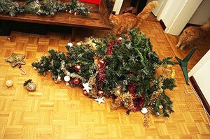 кошки уранили елку