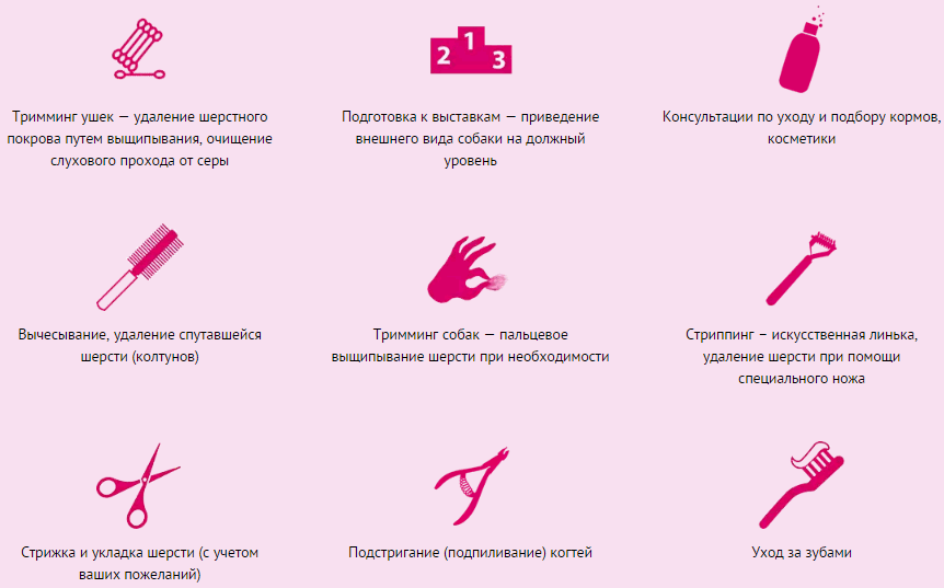 dopolnitelnye-uslugi-grumera дополнительные услуги грумера