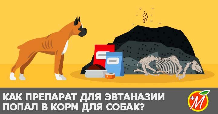 korm-dlya-sobak-s-yadom корм для собак с ядом