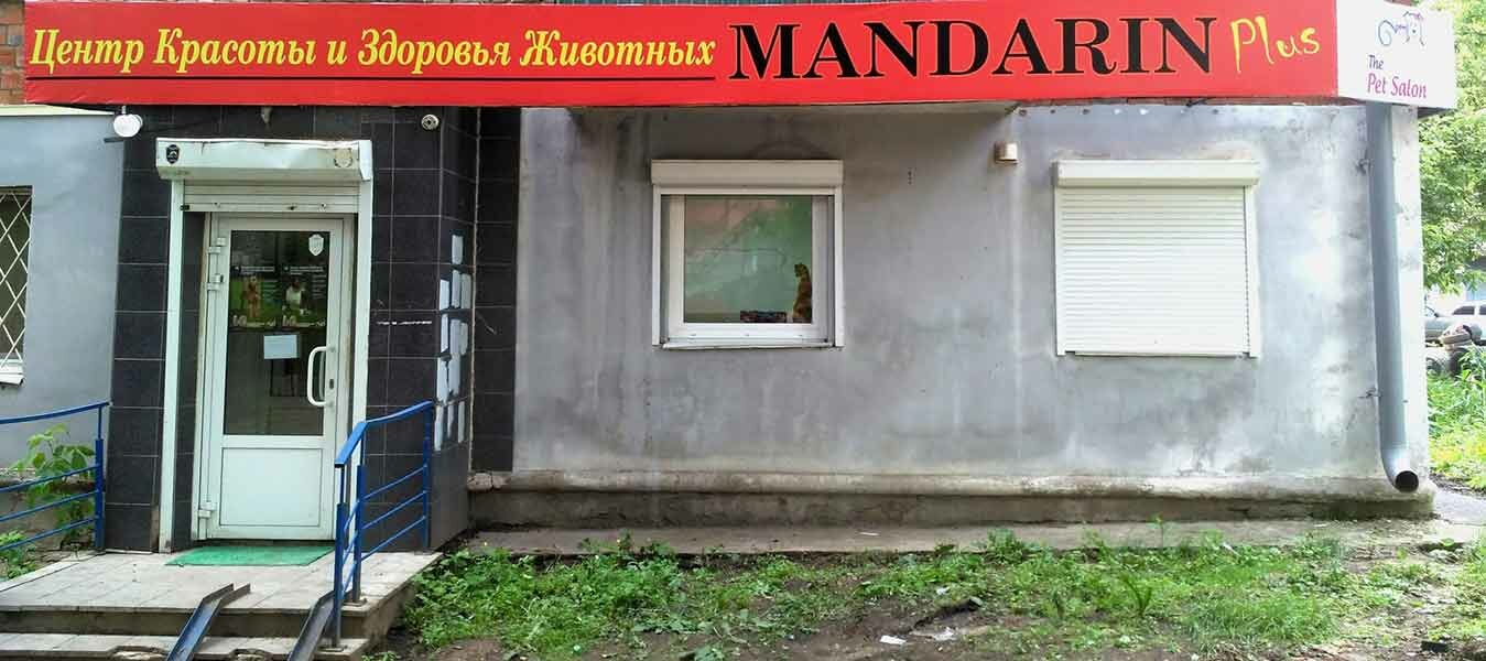 foto-lenina-66-izhevsk фото Ленина, 66 Ижевск