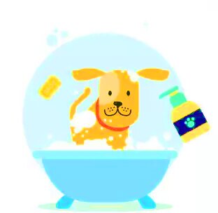 moyka-sobak Мойка собак