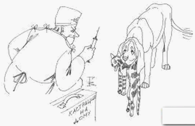 кастрация на дому