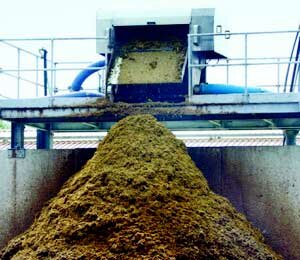 Утилизация свинины utilizaciya-svininy