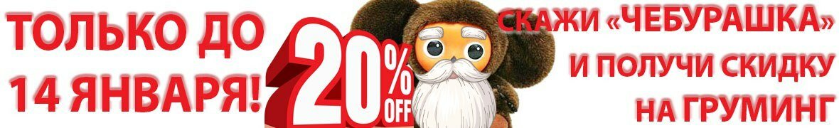 Скидка на груминг